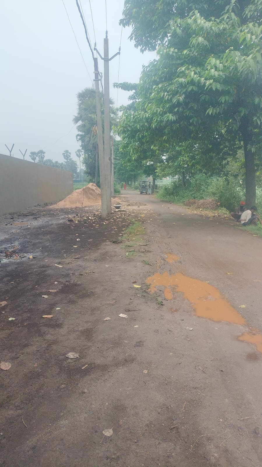 Plots for sale in Hardas Bigha, Patna