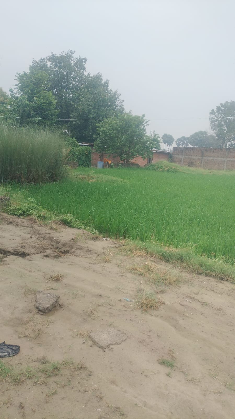 Plot for sale near Hardas Bigha railway station