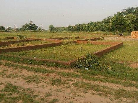 Plot for Sale in Hardash Bigha Patna