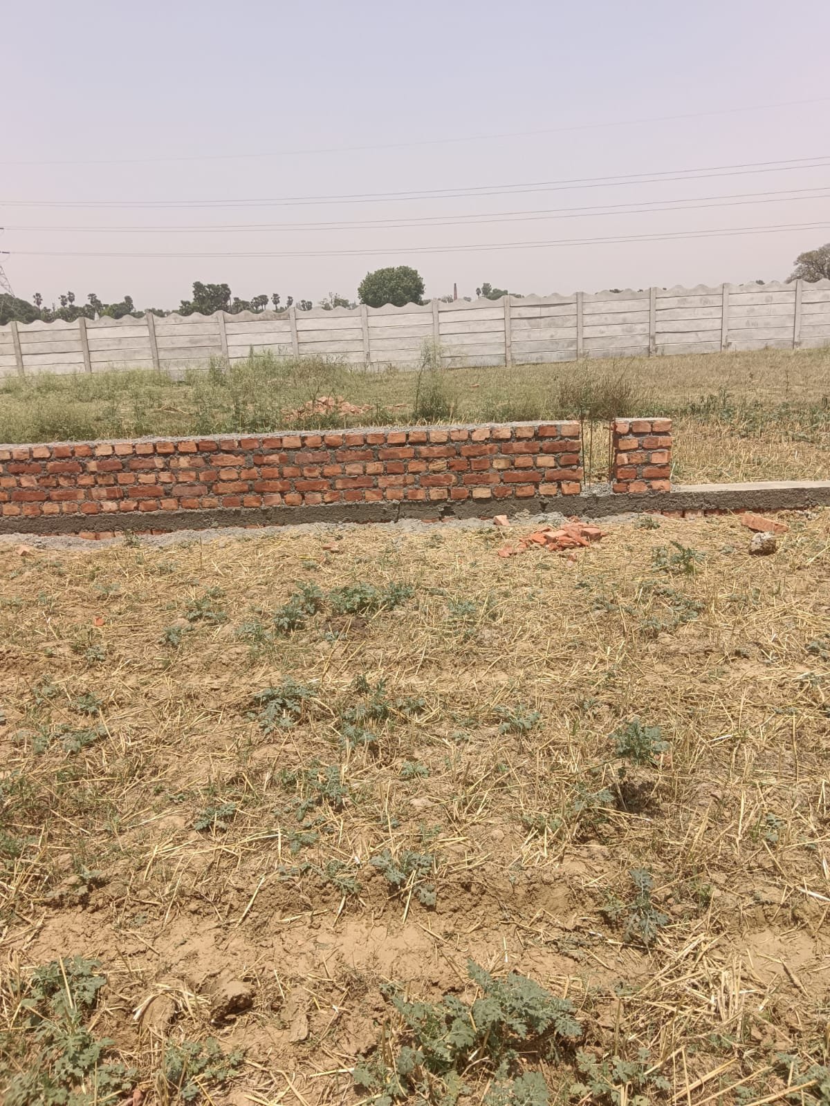 Plot for sale in Chirora, Patna